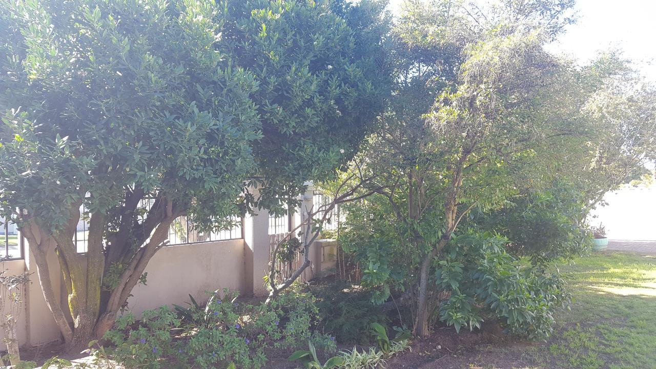 Blu Bed & Breakfast Port Elizabeth Exterior foto