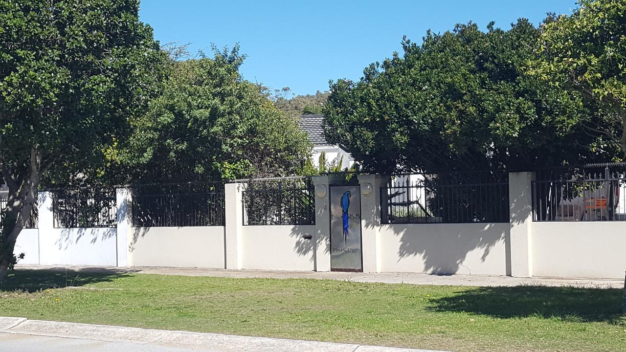 Blu Bed & Breakfast Port Elizabeth Exterior foto